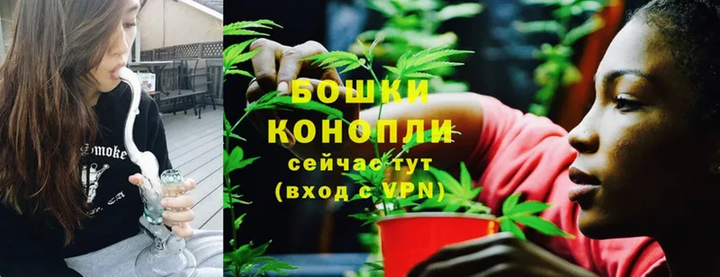 Конопля THC 21%  цены   Исилькуль 